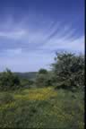 Nei pressi del Parco Faunistico (30kb)